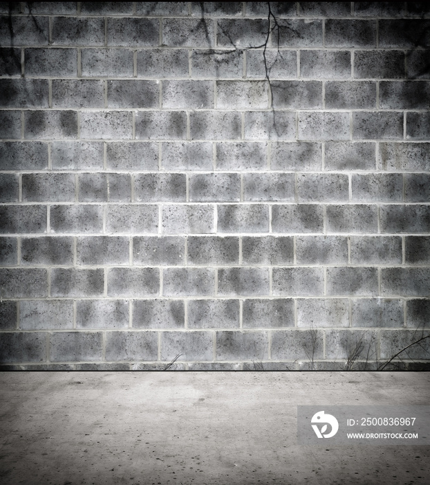 Stone wall and floor in creepy atmosphere