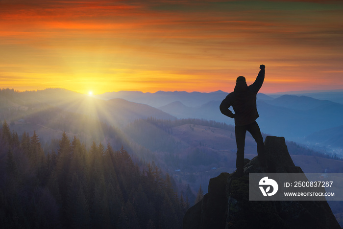 The successful man standing on a mountain top