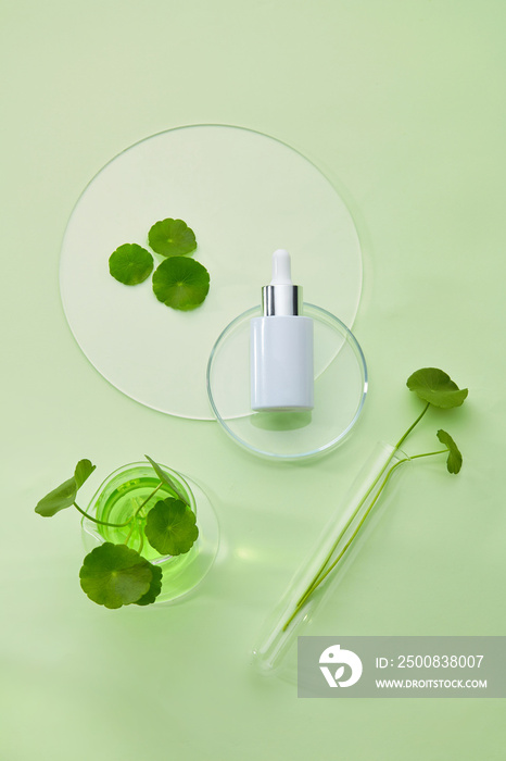 Glass petri dish and test tube with centella asiatica (gotu kola) extract and serum bottle mockup . Research and develop cosmetic production in the laboratory. Top view image