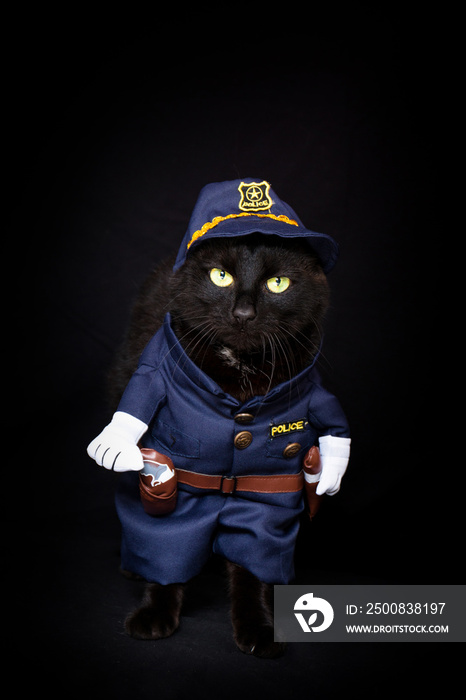 Black cat dressed as a police officer against a dark background