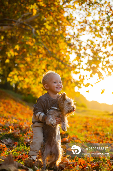 Simple happiness. Sweet childhood memories. Child play with yorkshire terrier dog. Toddler boy enjoy autumn with dog friend. Small baby toddler on sunny autumn day walk with dog. Happy childhood