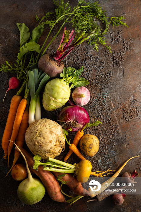 Assortment of Vegetables and root vegetables on textured background. Autumn harvest. Healthy food and vegetarian concept.