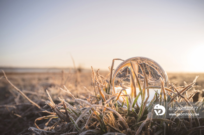 Crystal ball in frozen grass in the sunrise