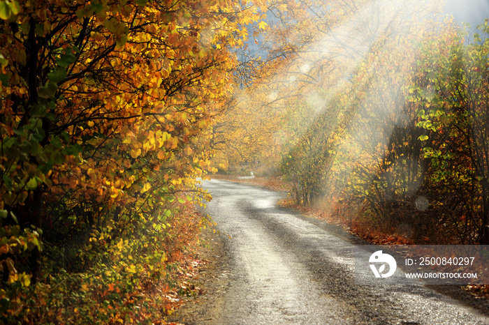 Landscape image of dirt countryside dirt road with colorful autumn leaves and trees in forest of Mersin, Turkey