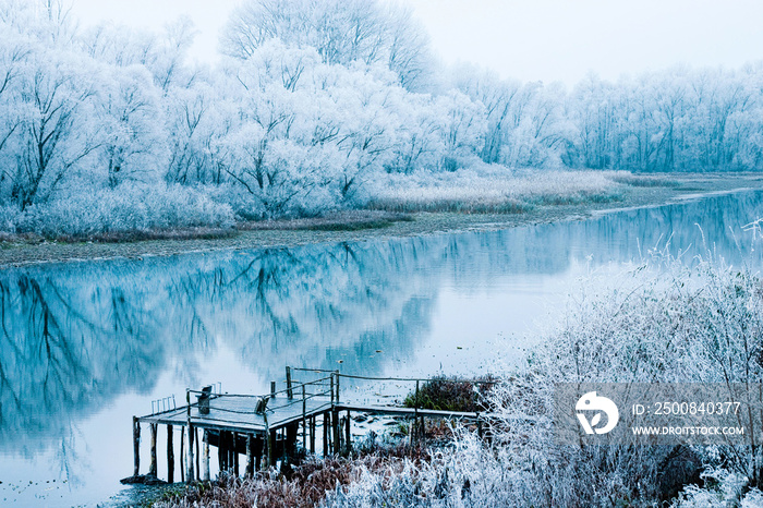 Croatia, nature park Lonjsko polje, reflection of trees under snow on lake in winter