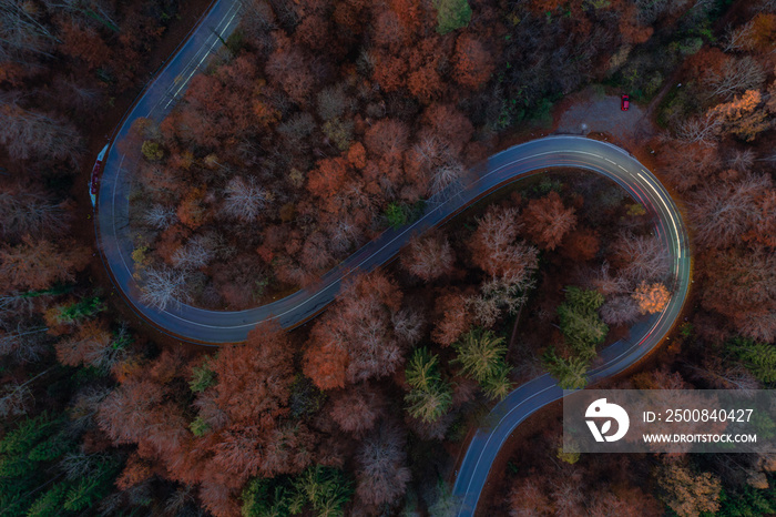 Lighttrails on a curvy road captured from above, atmospheric wallpaper of travelling in the fall season.
