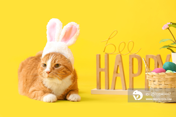 Cute cat in bunny ears, basket, Easter eggs and flowerpot on yellow background