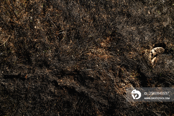 Top view of burned grass on field.