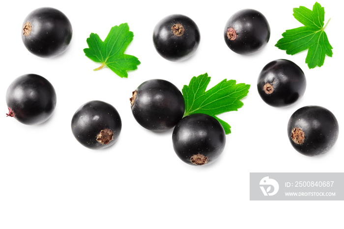 black currant with green leaf isolated on white background. top view