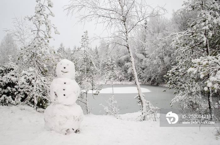 Snowy trees, snowman and frozen pond in winter