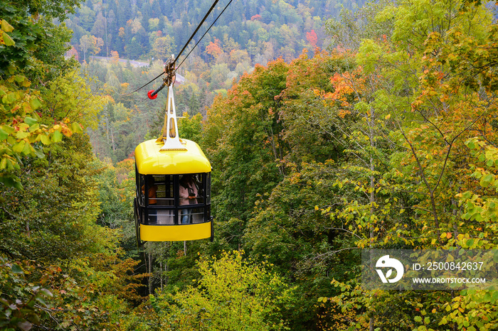 Sigulda cable car for traveling through the Gauja valley, Latvia. Panoramic view of leaf fall forest. Autumn landscape on cool, cloudy day.