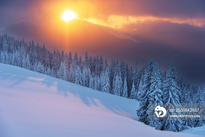 Winter, active holidays in the Carpathian Mountains with picturesque huts and plenty of snow.