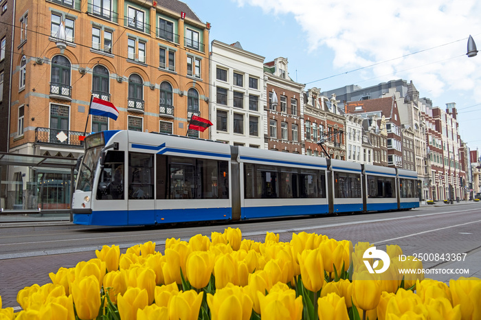 Tram driving on an empty Rokin in Amsterdam the Netherlands during the corona crisis