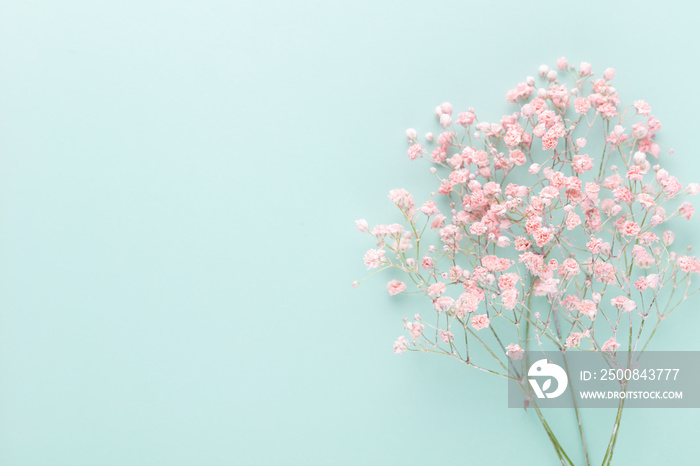 Beautiful flower background of pink gypsophila flowers. Flat lay, top view. Floral pattern.