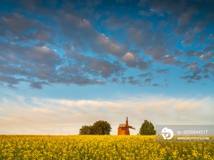 alone wooden windmill between trees in rapeseed field under sky with gray clouds and copy space