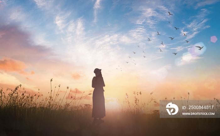 World environment day concept: Silhouette traveler standing on abstract of heaven background