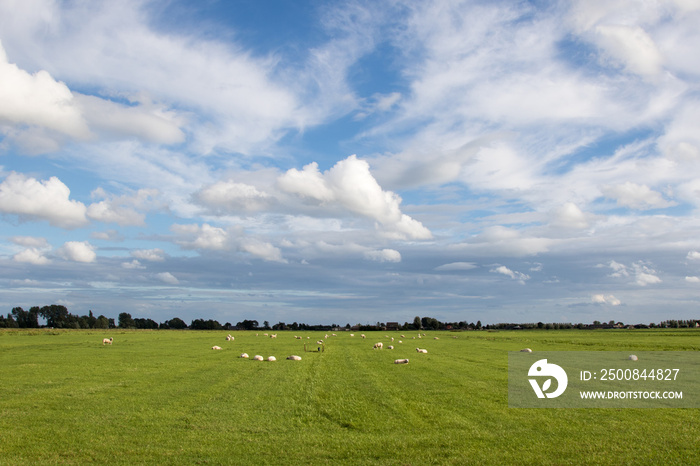 Typical Dutch green landscape with cloudy sky