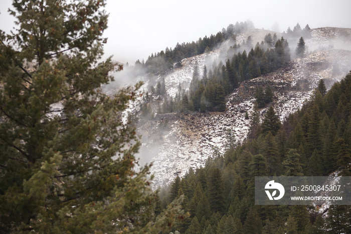 Fog on snow dusted mountain with forest