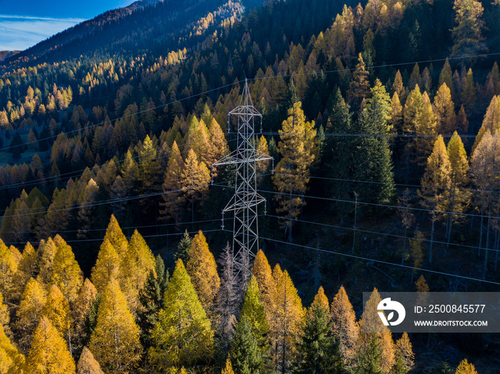 Aerial view of power line in autumn forest