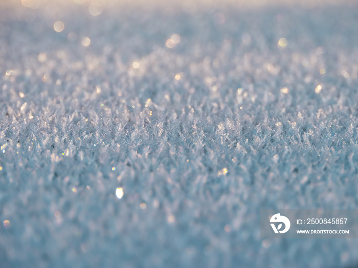 frost on grass