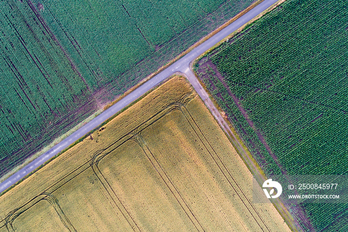 Top view of agricultural parcels