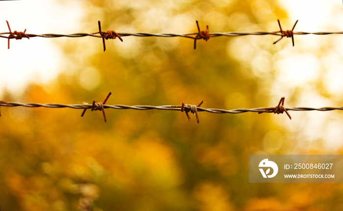 Barbed wire background.