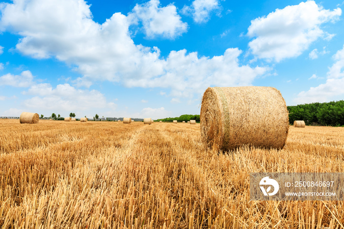 Straw bales on farmland with blue cloudy sky