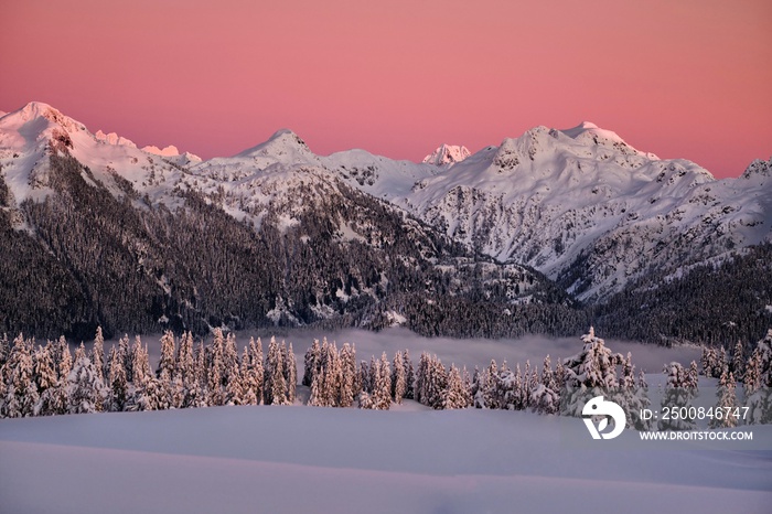 Pink sunset sky over the snow covered mountains. View of mountains, alpine forest and clouds in winter near ski resort. Whisler. British Columbia. Canada