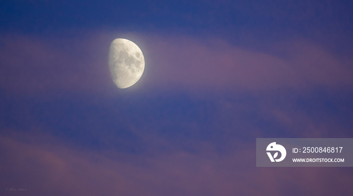 half moon in a vivd pink and purple twilight sky