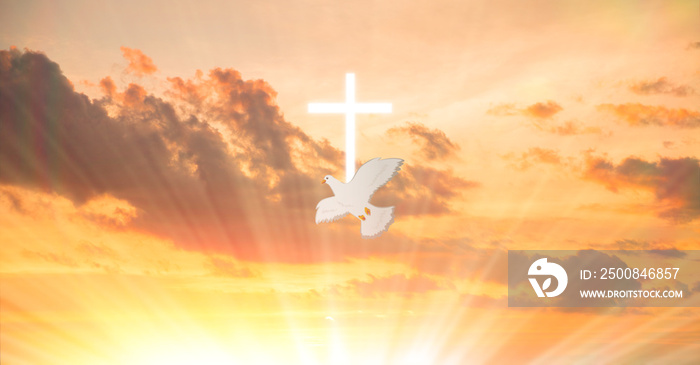 Doves fly in the sky. Christians have faith in Holy Spirit. silhouette worship to god with love Faith, Spirit and jesus christ. Christian praying for peace. Concept of worship in Christianity.