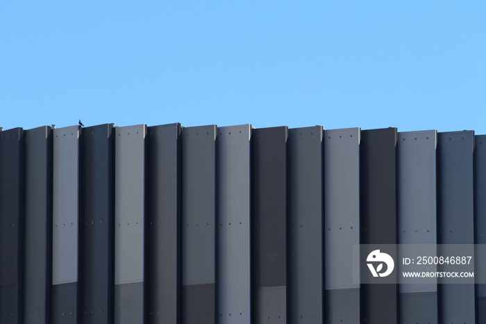 Close up of the top of a new modern building with grey cladding, blue sky in the background. A pigeon in standing on top of the building. Darling Harbour precinct. Sydney.