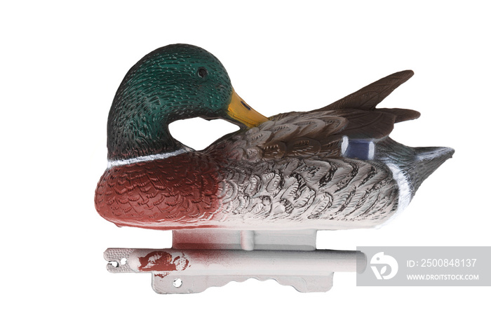 Mallard Duck Decoy isolated on white