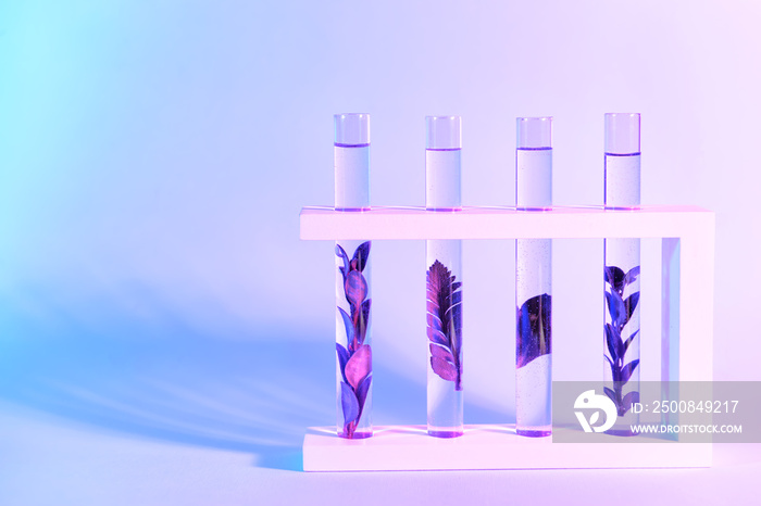 Test tubes with plants on color background