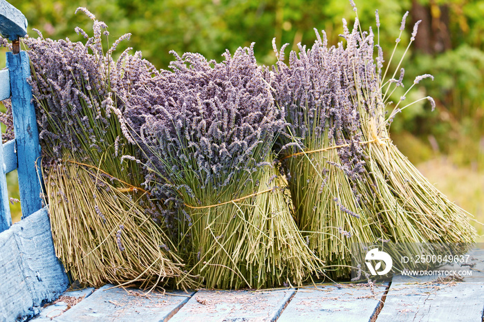 Bunches of dried lavender on a wooden cart.