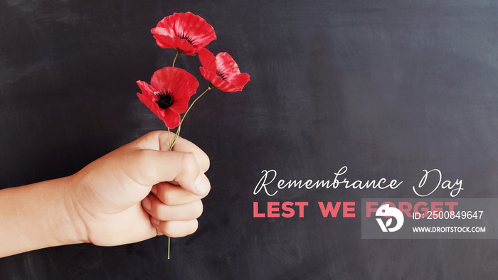 Hand holding red poppy flowers, remembrance day,  Veterans day, Anzac day, lest we forget concept