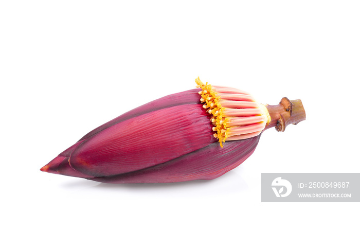 Banana blossom/flower and ripe banana on white background.