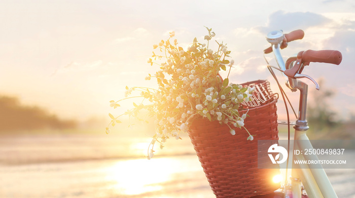 vintage bicycle with flowers in the basket on summer sunset rural background