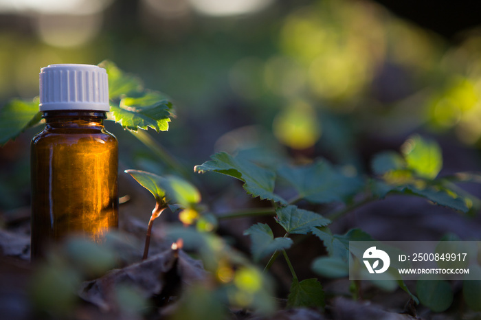 Essential oil and glass bottle.