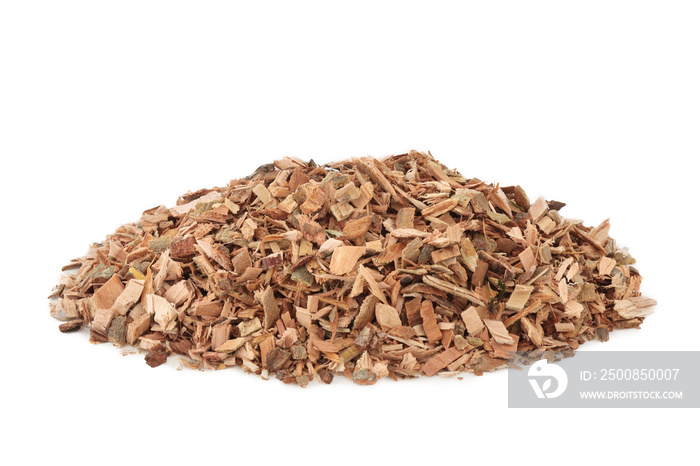 White willow bark herb used in alternative herbal medicine and has pain relieving and anti inflammatory properties and is similar to aspirin in its effects, on white background. Salix alba.