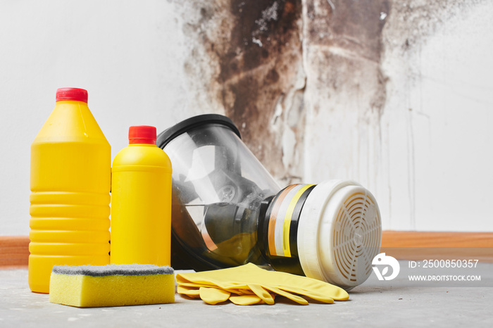 Mold. Aspergillus. Detergents, household gloves, a sponge, a bucket on a white wall background with a black fungus..