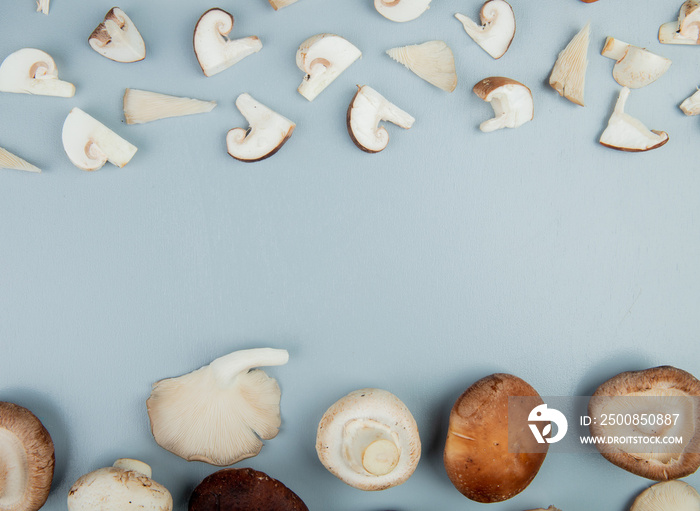 top view of sliced mushrooms isolated on light blue background with copy space