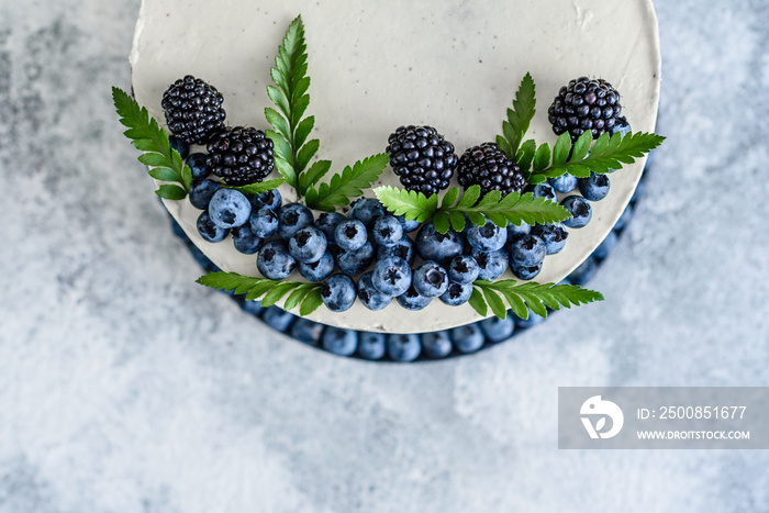 Beautiful tasty cake with white cream and berries of blueberry