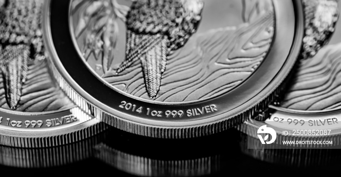 Close up of  Silver Bullion Coin on a black mirror background