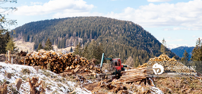 Work harvester stacked wood logs tree background blue sky. Concept lumber timber industry deforestation