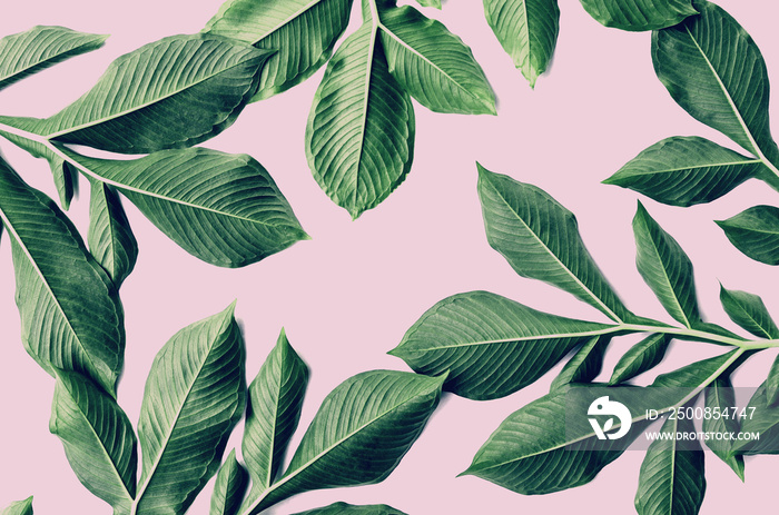 green leaf pattern on pink background