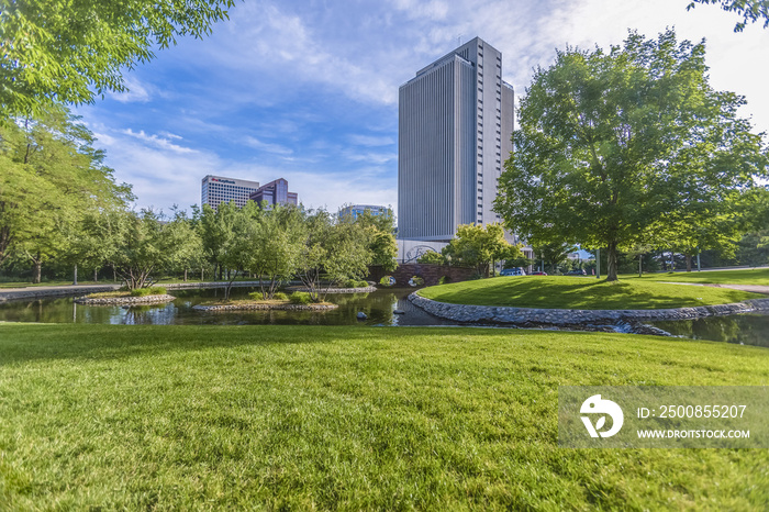 Lawn and skyscraper in background in park