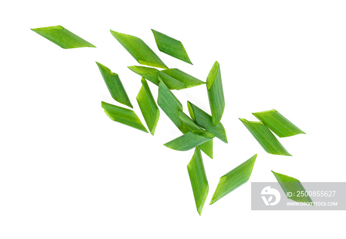 Chopped green onions on white background, top view.