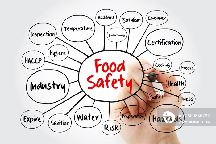 Food safety mind map flowchart with marker, concept for presentations and reports