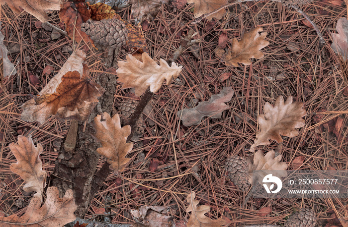 Fall leaves on the bush. Ideal for hunting and military purposes. Realistic camouflage seamless