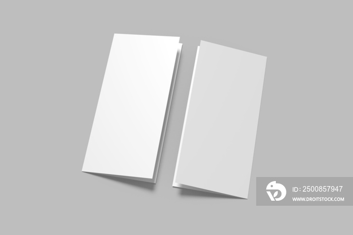 DL Bifold Brochure Blank Mockup